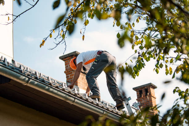 Best Roof Maintenance Services  in Mechanicsburg, OH